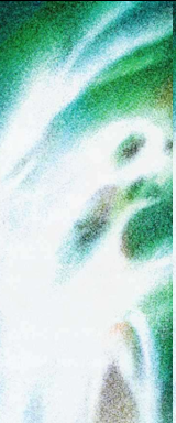 1722446071686.png