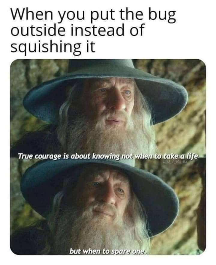 1723177582954.png