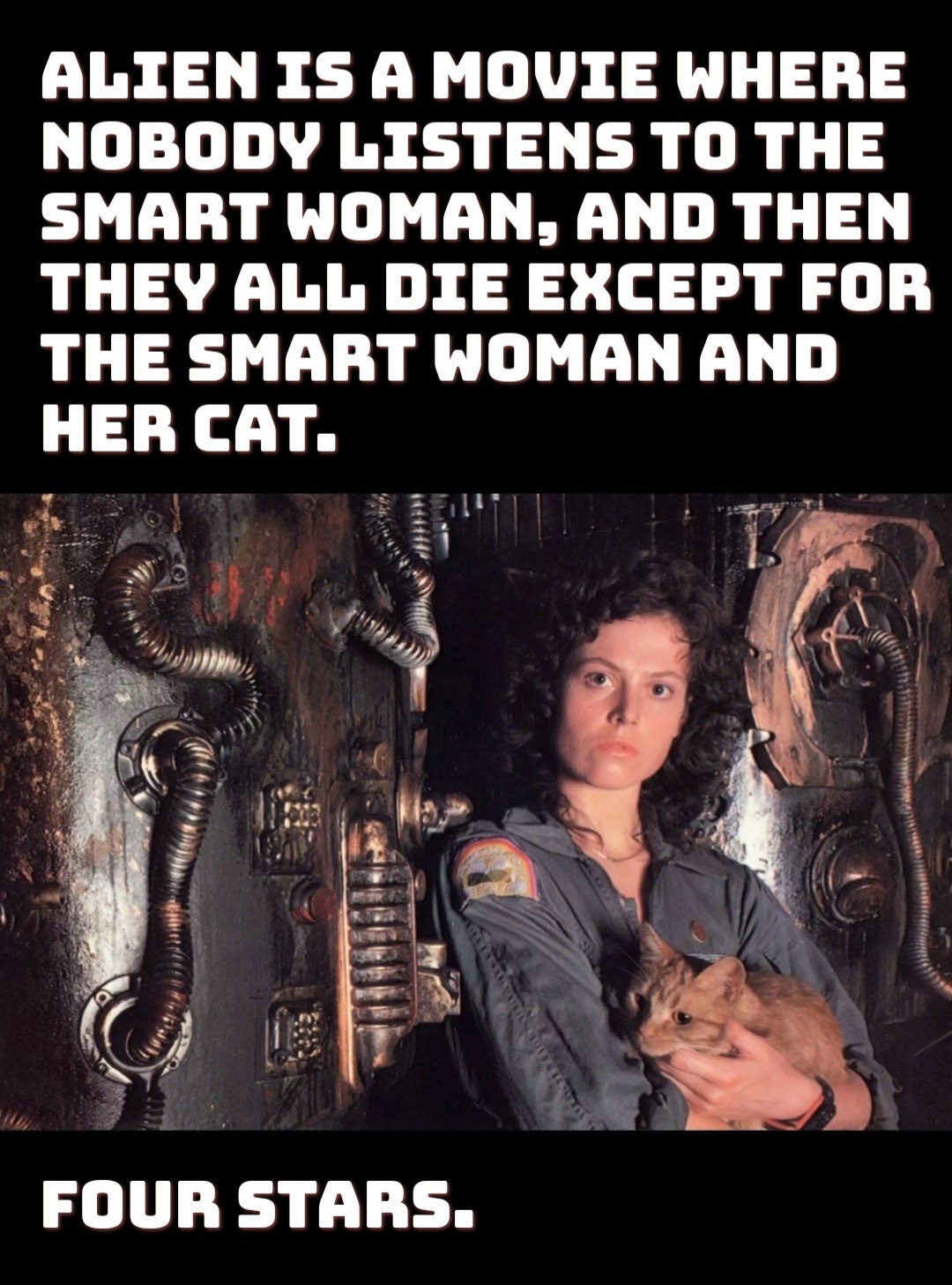 1724162412562.jpeg