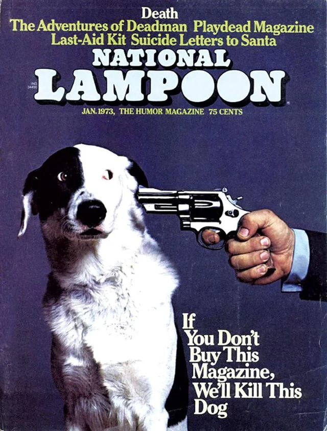 1726254800049.png