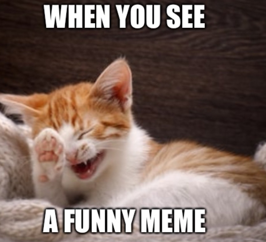 1726530693776.png