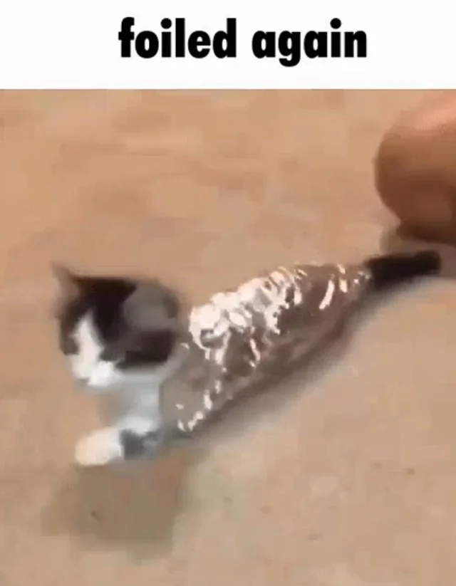 1729107252669.png