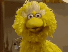 1738326933252.gif