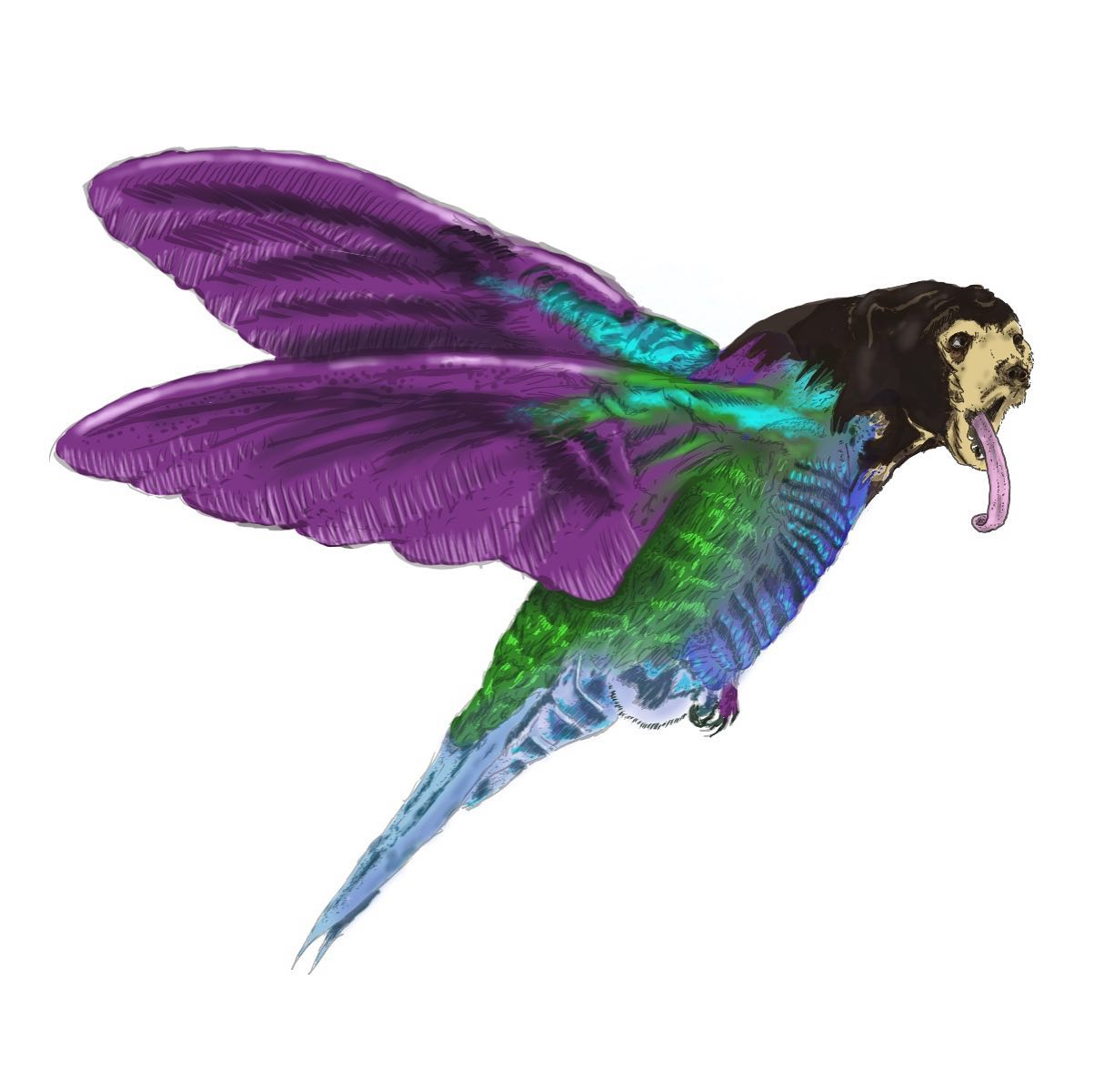 1739645635002.png