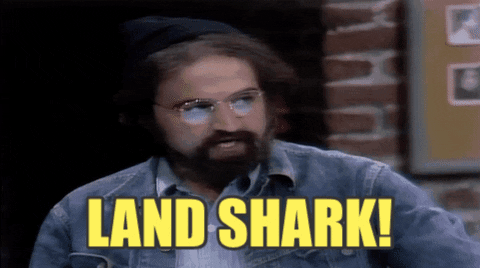1742588841773.gif