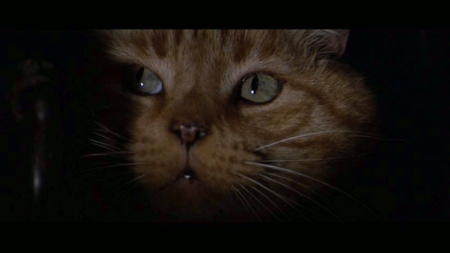 1742946462758.gif