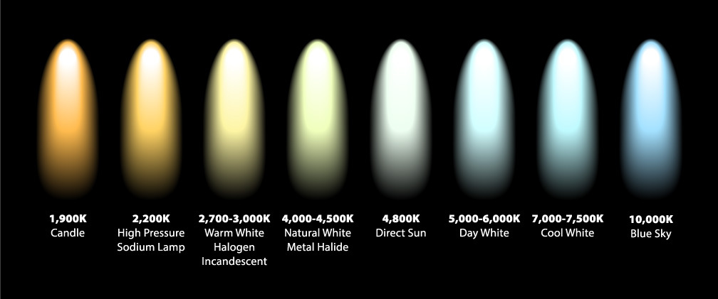 1744991976466.png