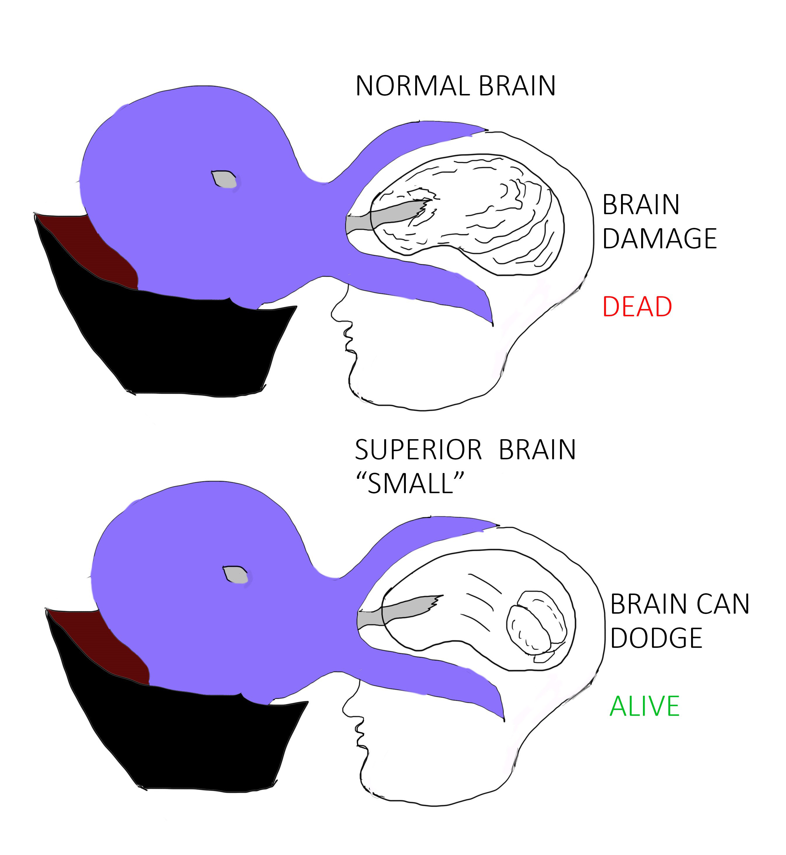1746388918224.png