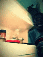 1748438712077.gif