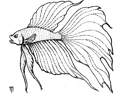 1751112526848.png
