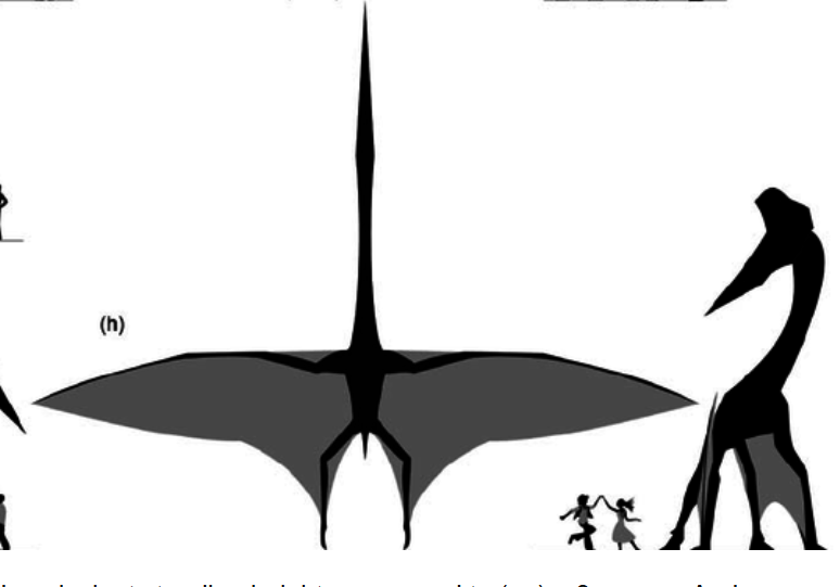 1754964745232.png