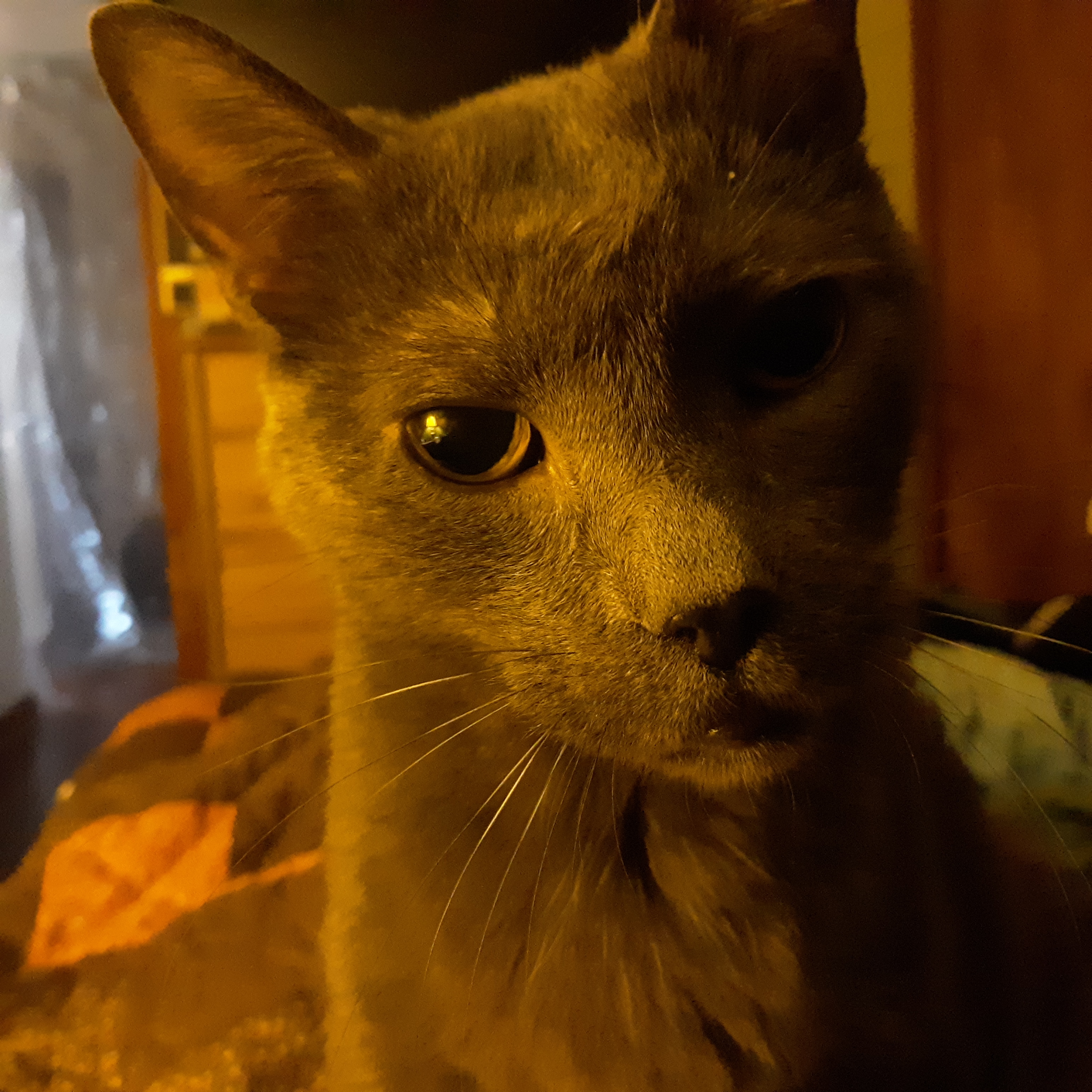 20201107_101840.jpg