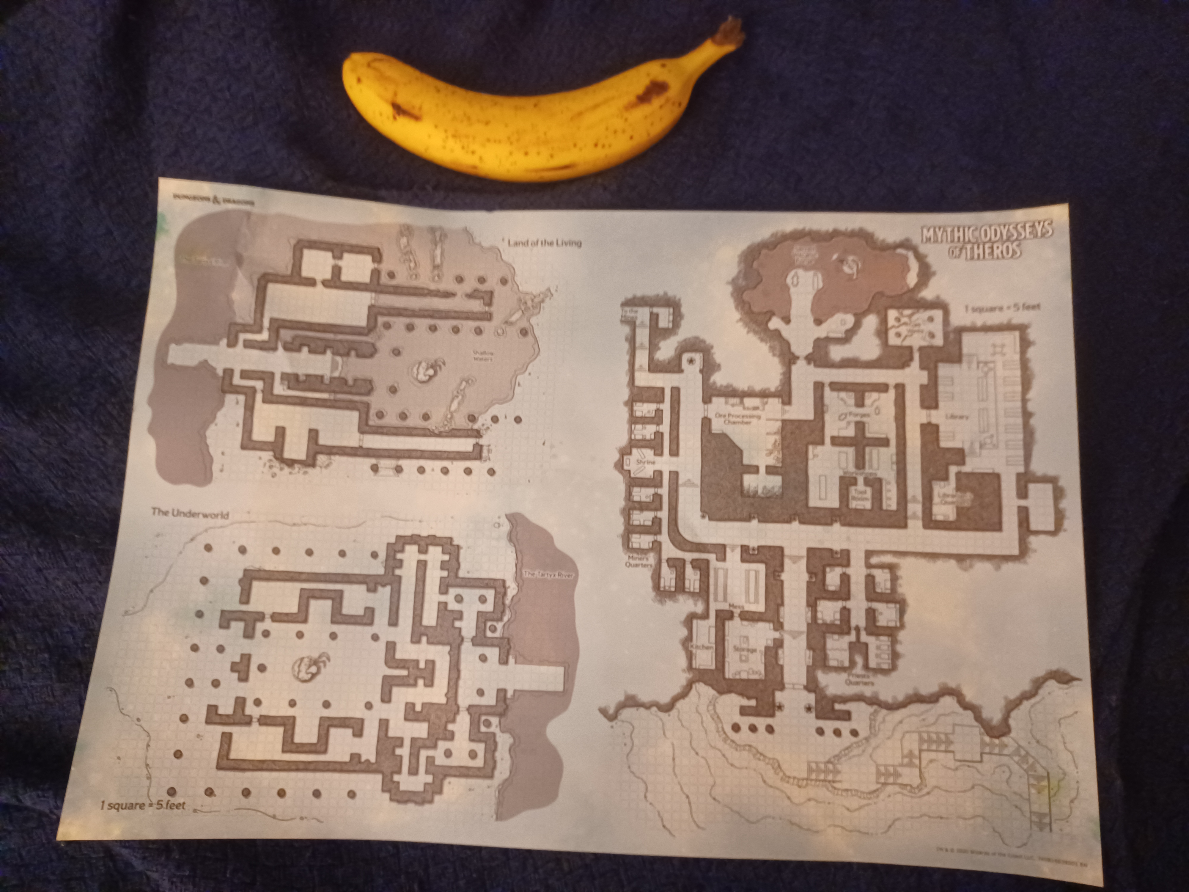 20240304_095139.jpg