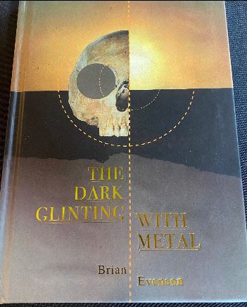 205 the dark glinting.JPG