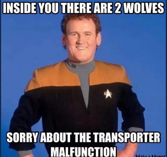 2wolves.jpg