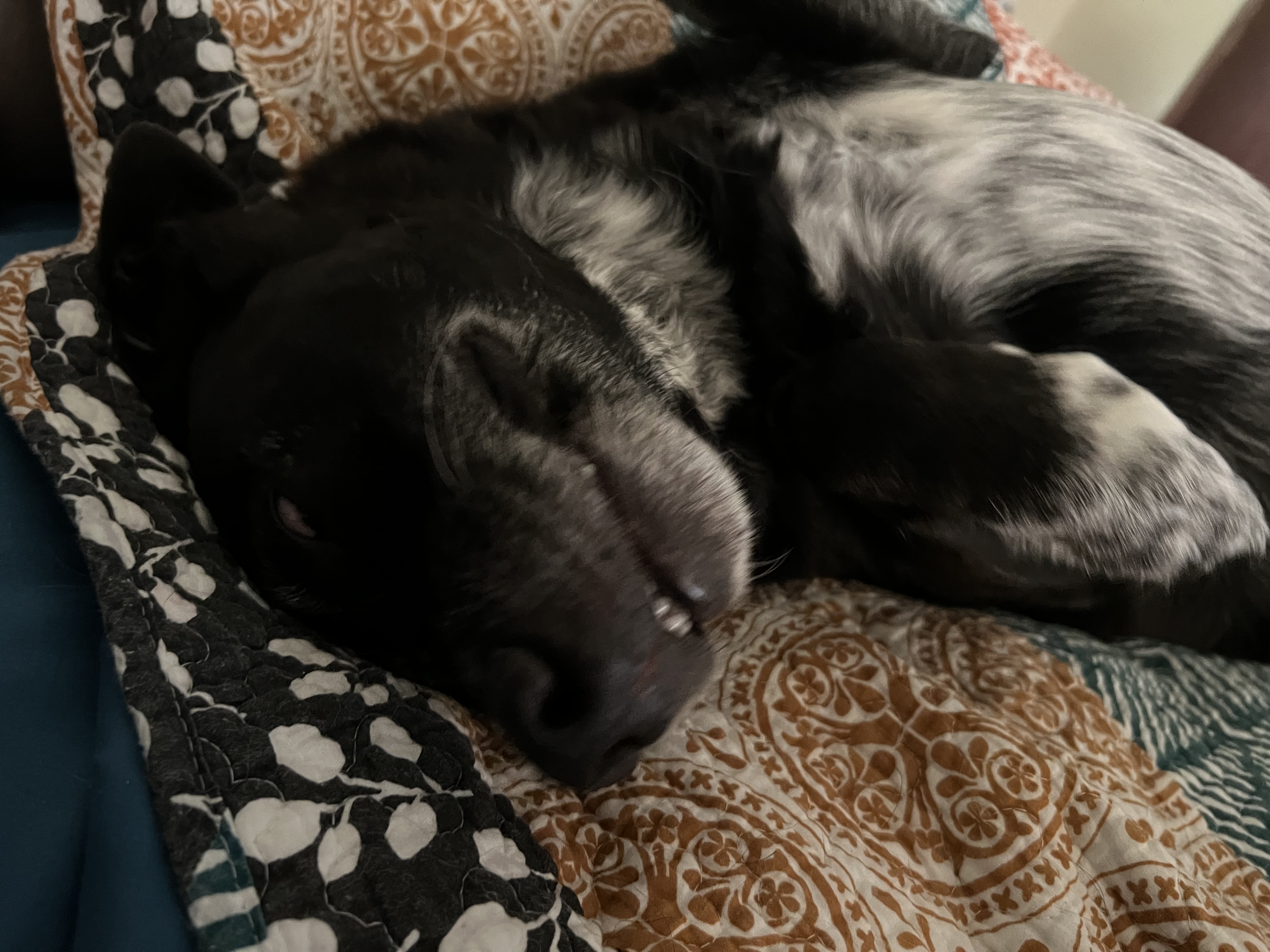 35B86C27-3FEC-4D03-980E-59E71C505B4D.jpeg
