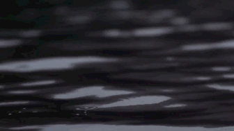 38E52CCE-C549-4218-B87F-ABFB10CC1E1C.gif