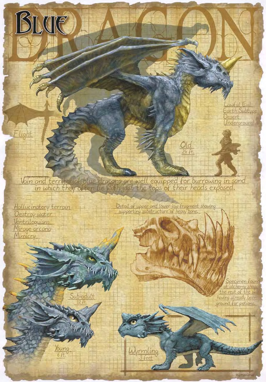 3E Blue Dragon ages.jpg