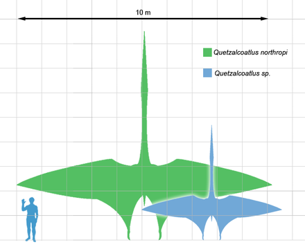 440px-Quetzscale1.png
