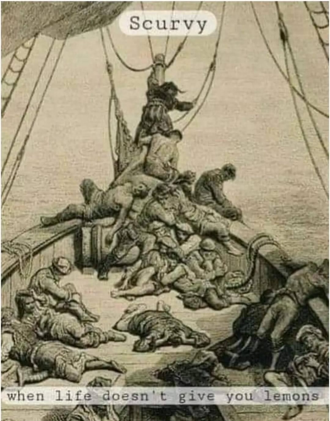 443818885_932619338877555_7992014718903128232_n.jpeg