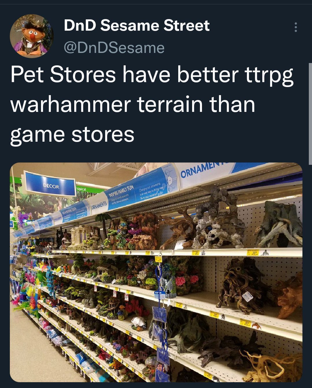 462767540_1002709281895474_3106668487560659677_n.jpg