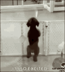 4746CC09-FAAF-468E-B75D-1AF076AA7409.gif