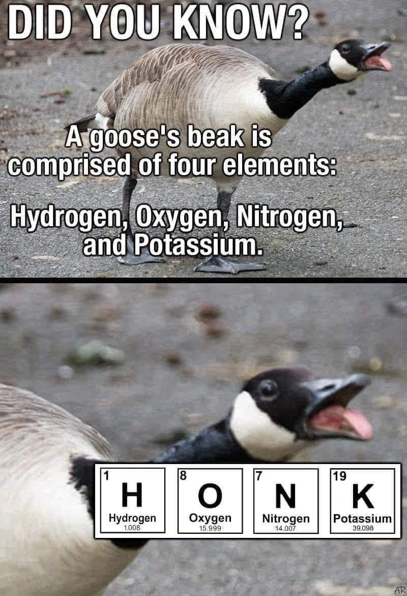 491662253_10234966846407892_4958648007280412017_n.jpg