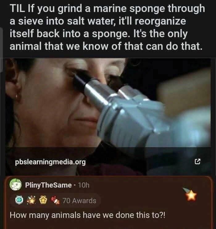 5824727A-F945-4424-98FD-764356A23053.jpeg