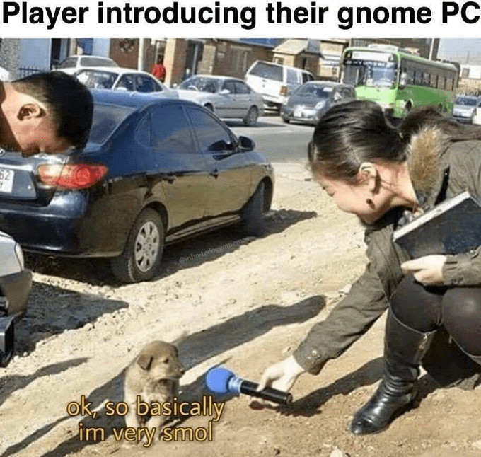 62-player-introducing-their-gnome-pc-cinfinitedoggom-ok-so-basically-im-very-smol.png