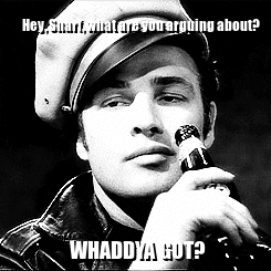 6297d533d37ba924325838.gif