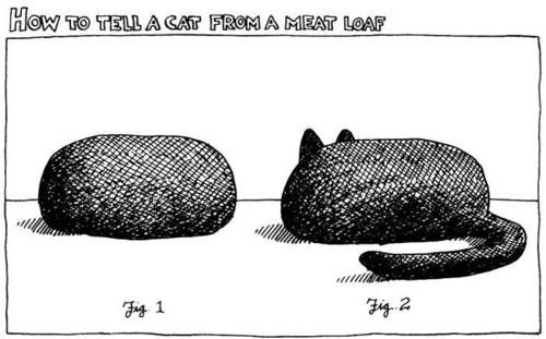6A00AB2D-AA9E-40D0-B463-EC41E76A40E4.jpeg