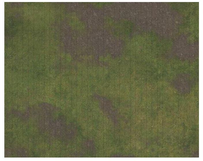 81 battlemap gridded.JPG