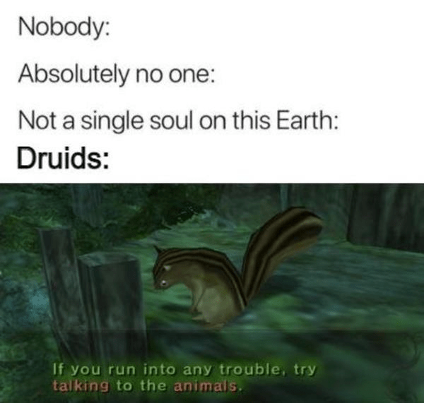 absolutely-no-one-not-single-soul-on-this-earth-druids-if-run-into-any-trouble-try-talking-ani...png