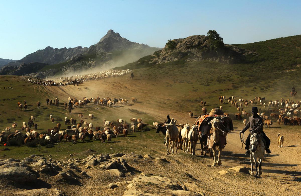 altai plain, xinjiang.jpg