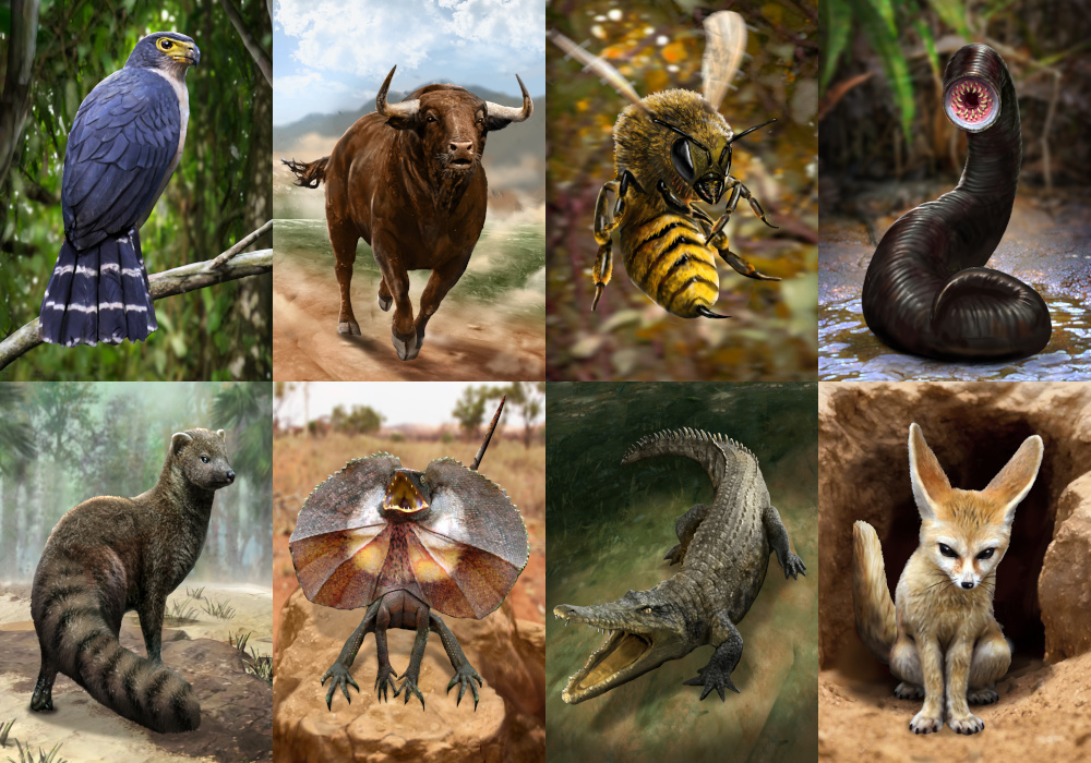 animals.jpg