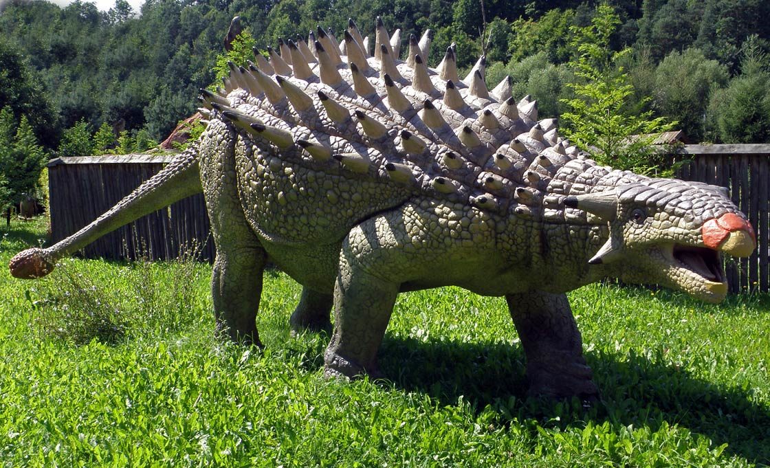 Ankylosaurus-1-1120x681.jpg