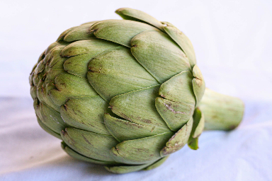 artichoke.jpg