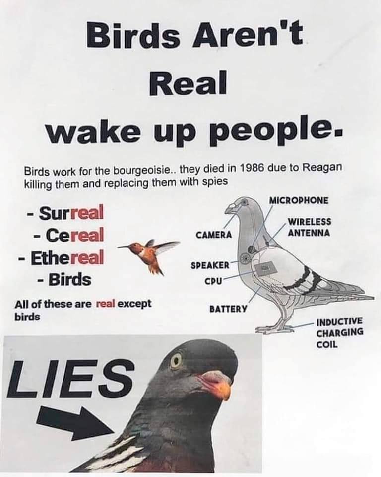 birds aren't real.jpg
