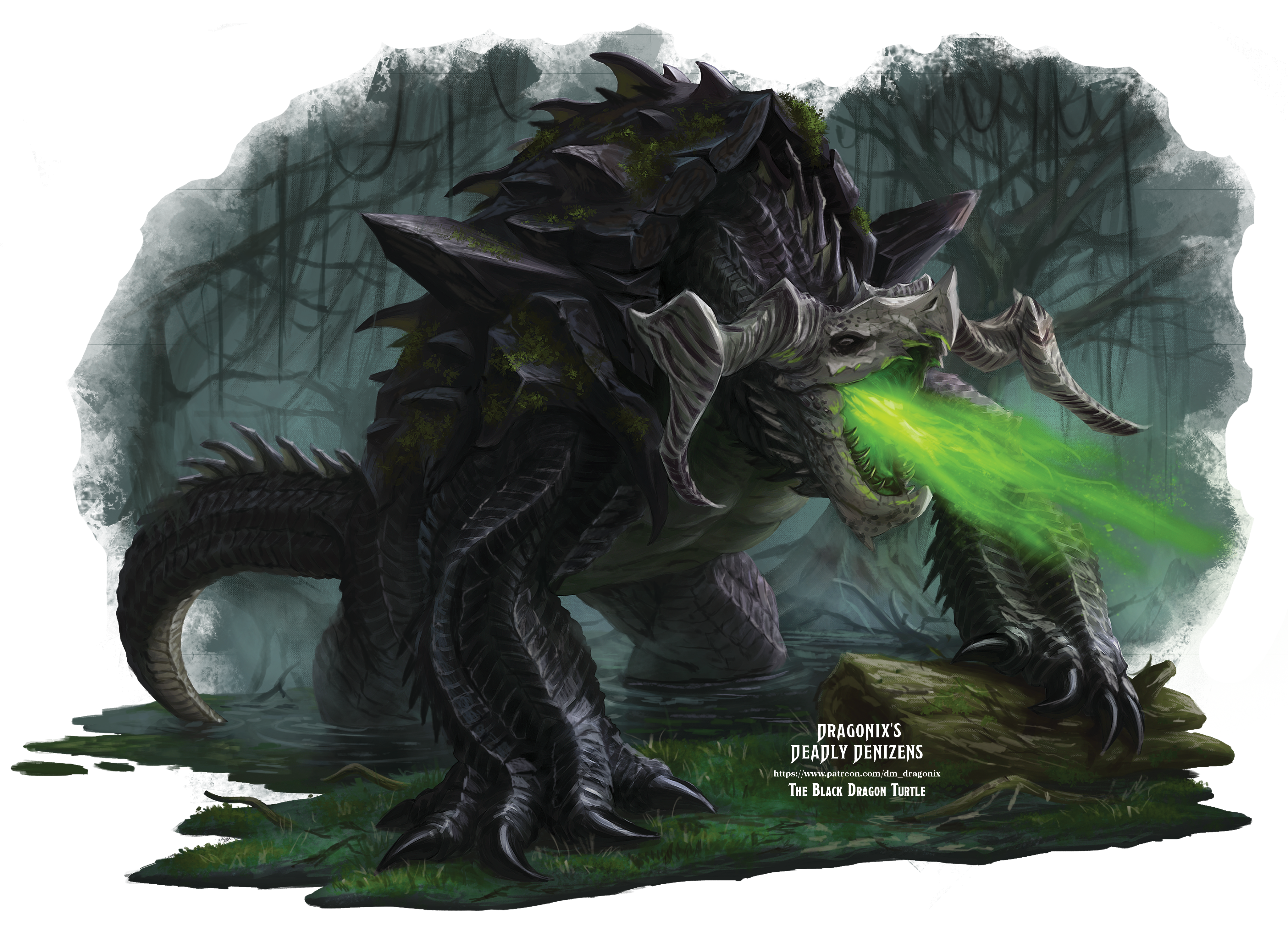Black Dragon Turtle.png
