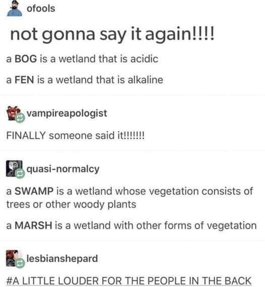 bogswampdef.jpg