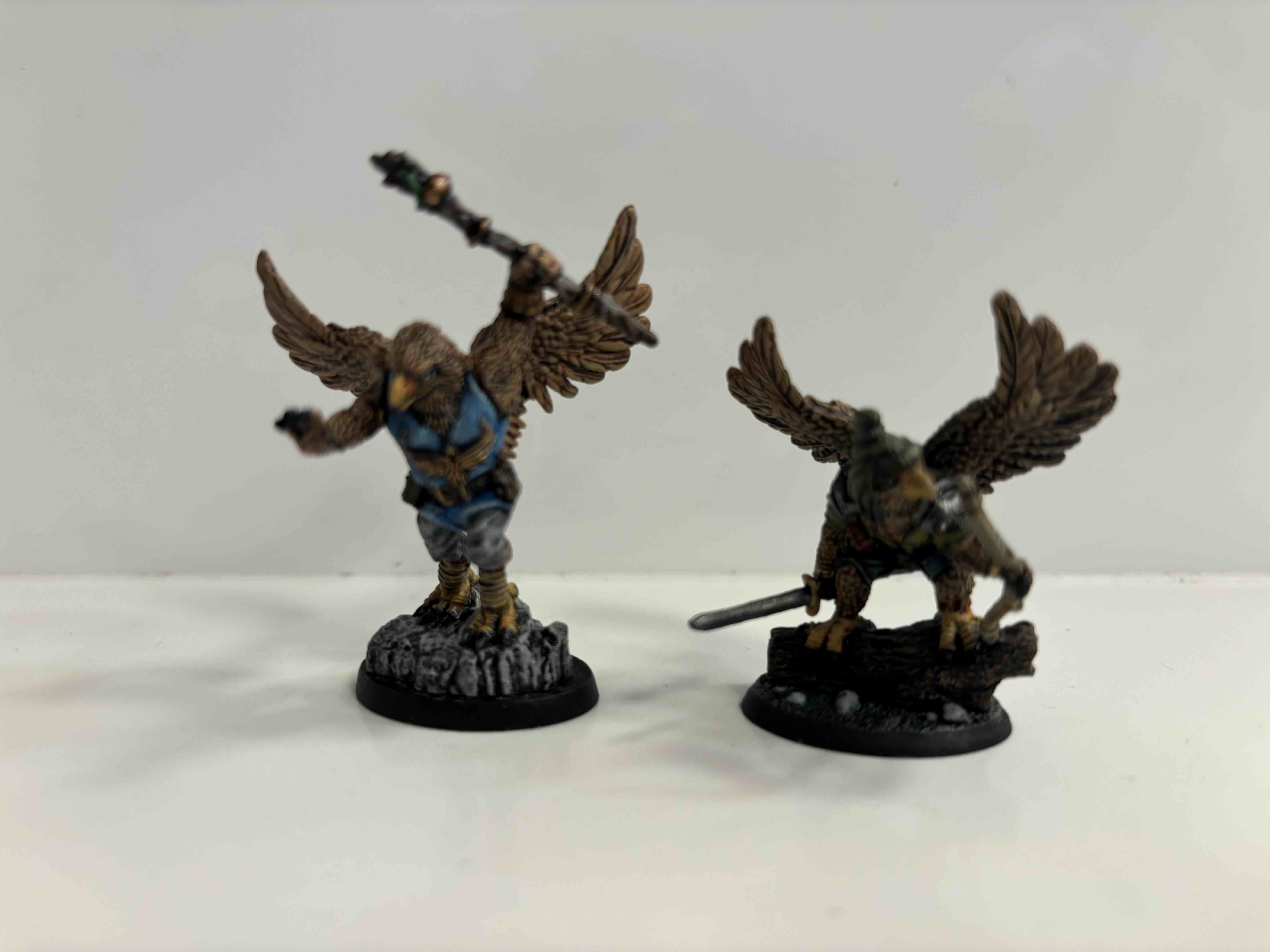 Bones 6 Aarakokra.jpg