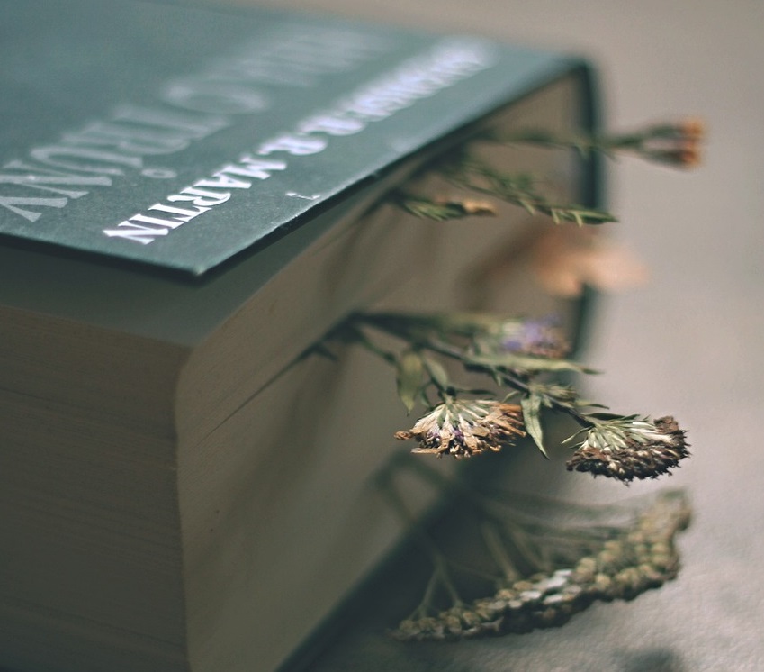 book-5174879_1280.jpg