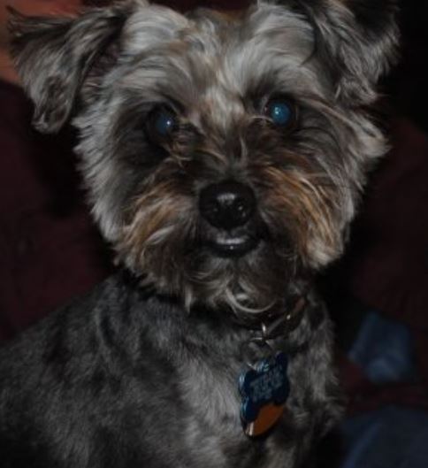 Buddy.JPG
