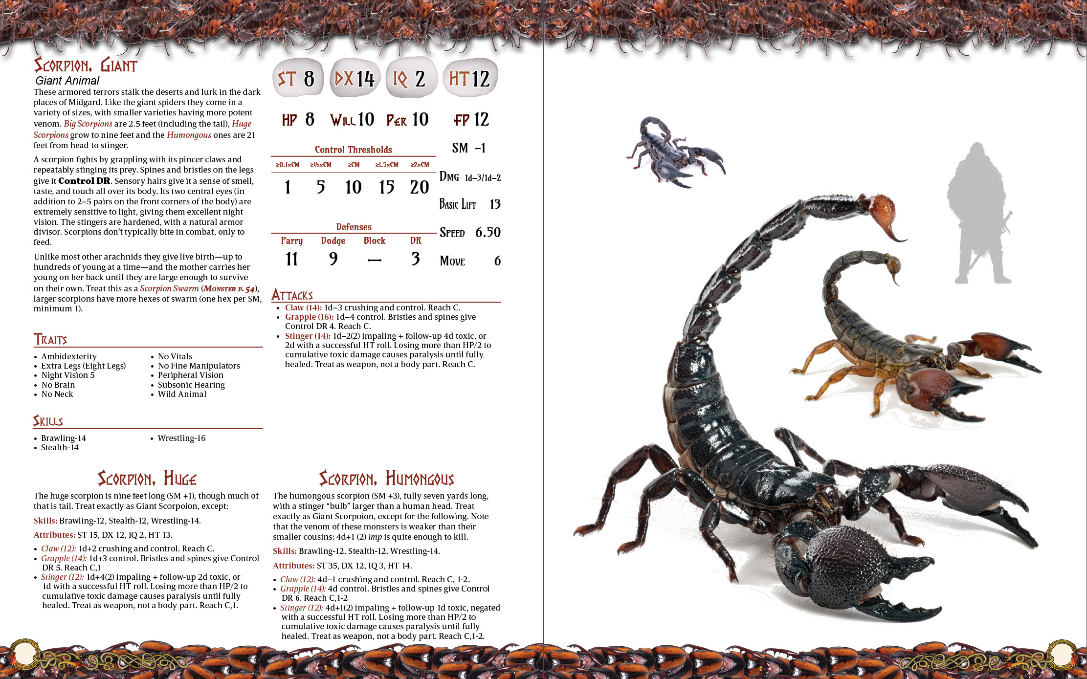 Bugstiary Scorpion spread.jpg