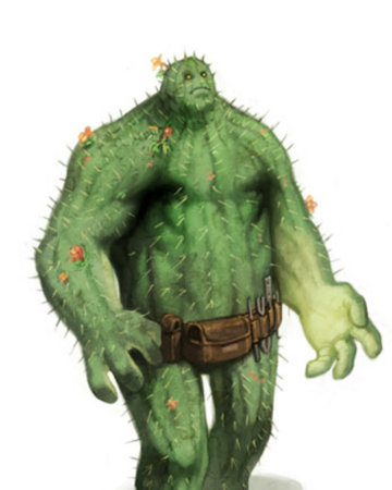 Cactacae.png