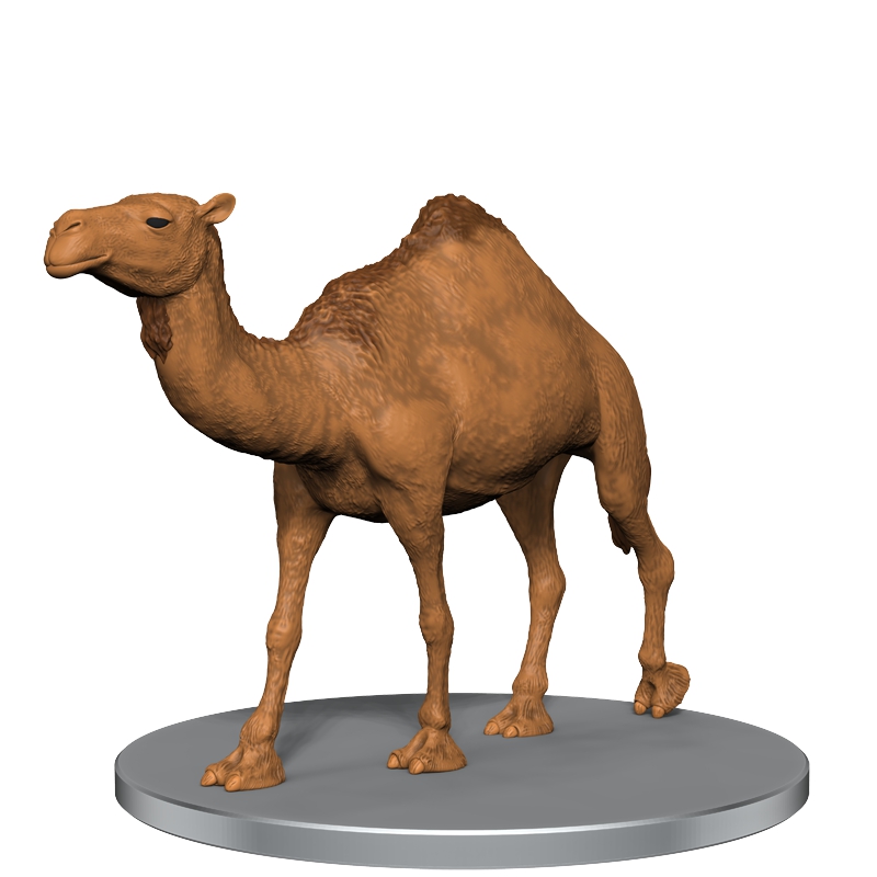 camel_render.jpg