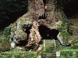 camphor 2.jpg