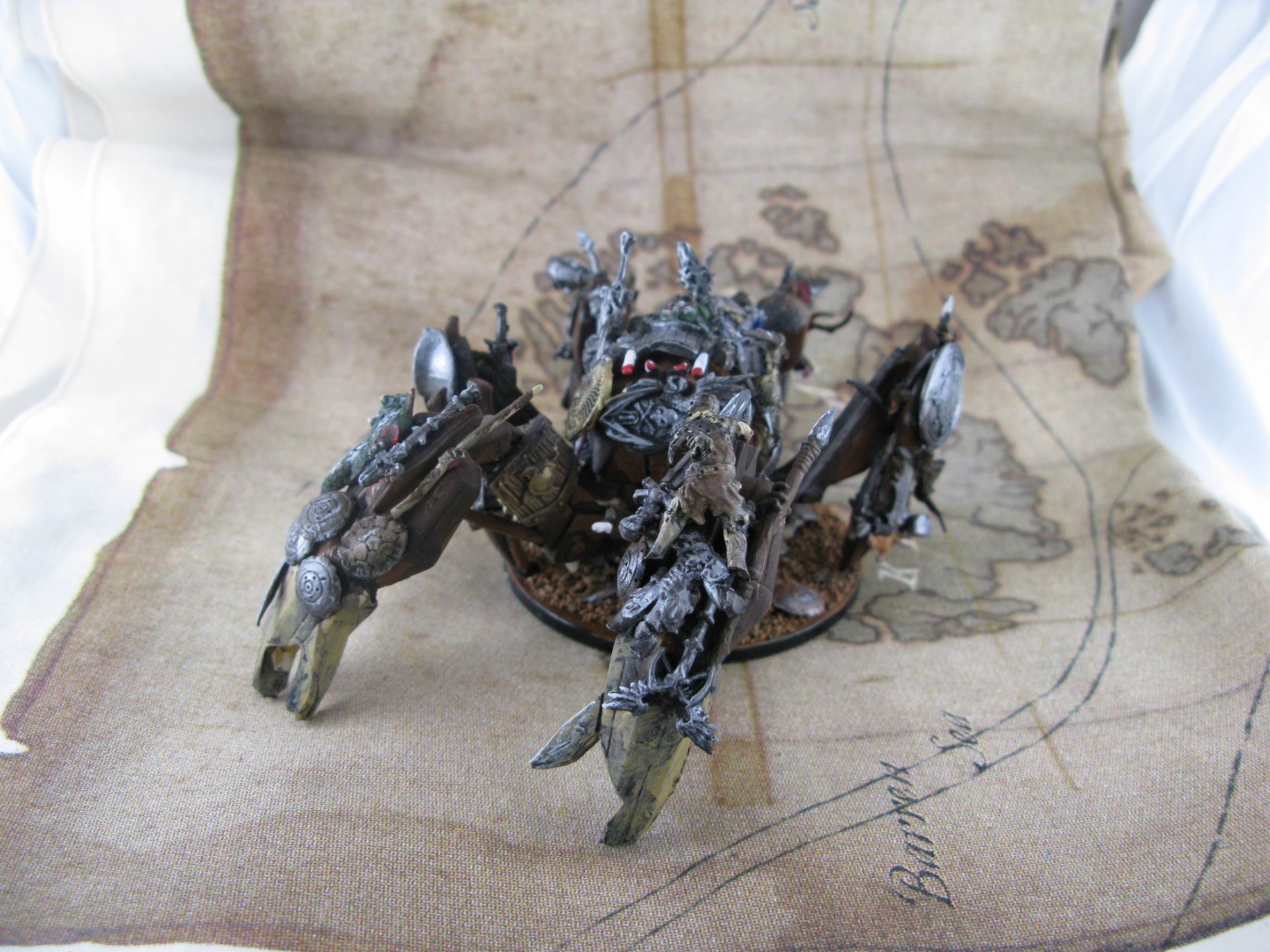 carcas crab (3).JPG