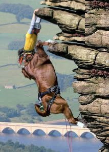 centaur.jpg