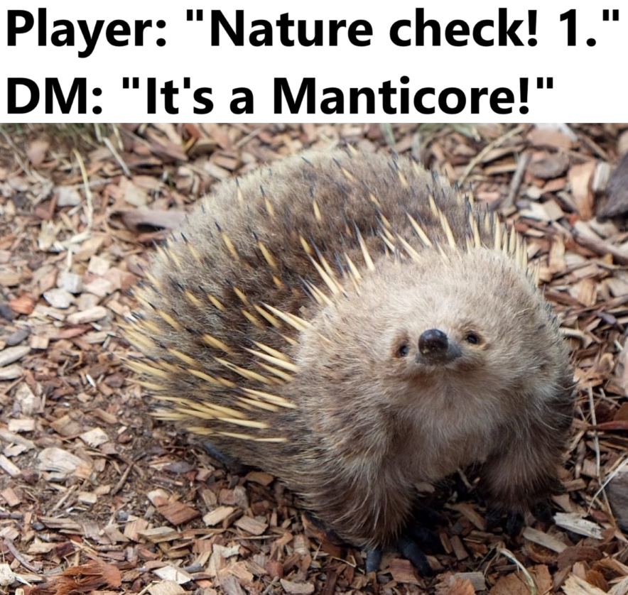 Check Fail 1.png